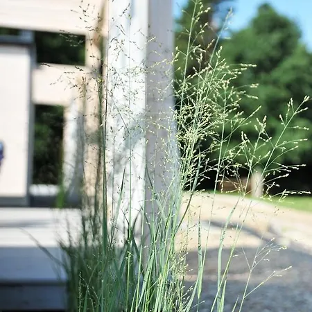 Art - Nad Morzem Debki * Odargowo