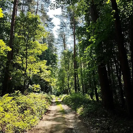 Lodge Art - Nad Morzem Debki